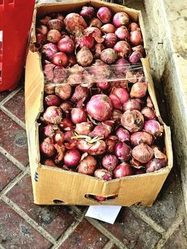 A close-up of a rustic cardboard box overflowing with numerous red onions Stock Photos