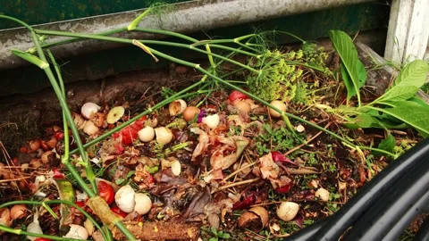 Close-up of a rustic compost pit filled with organic kitchen scraps, plant .. Video stock 343532009