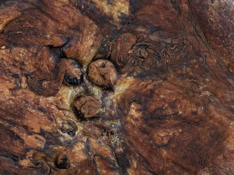 Close up of rustic homemade bread crust showing natural baked texture Stock Photos