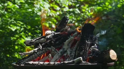 Close-up of a Rustic Outdoor Campfire Burning with Glowing Embers and Flames Stock Footage 337425606
