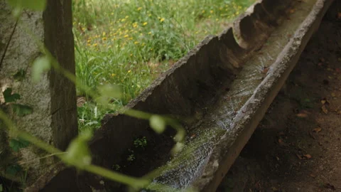 Close-up of a rustic stone water trough filled with flowing water, situated Vídeos de archivo 336054866
