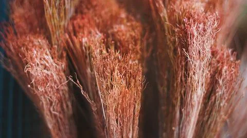 Close up of rustic straw broom bristles for cleaning or home decor. Stock Photos