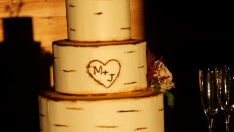 Close Up of Rustic Wedding Cake with Flowers, Initials, Wine Glasses Stock Footage 105258676