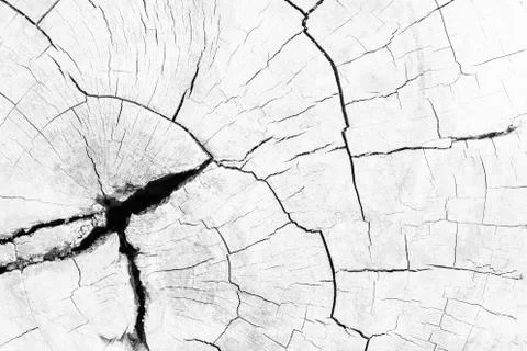 Close up rustic wood table with grain texture in vintage style. Surface of ol Stock Photos