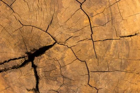 Close up rustic wood table with grain texture in vintage style. Surface of ol Stock Photos