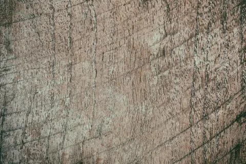 Close up rustic wood table with grain texture in vintage style. Surface of ol Stock Photos