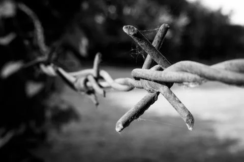 Close-up of a rusty barbed wire on a concrete pillar Stock Photos