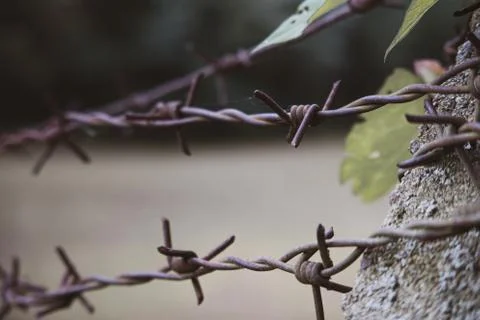 Close-up of a rusty barbed wire on a concrete pillar Stock Photos