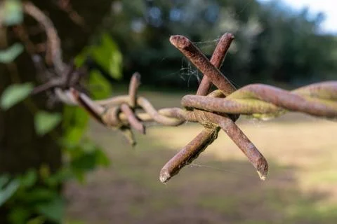 Close-up of a rusty barbed wire on a concrete pillar Stock Photos