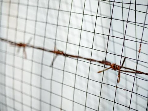 Close up of rusty barbed wire on wire mesh fence background, focus on sharp.. Stock Photos