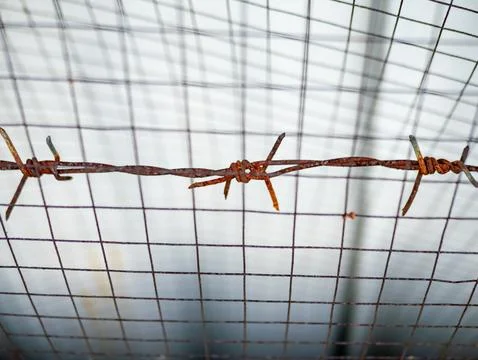 Close up of rusty barbed wire on wire mesh fence background, focus on sharp.. Stock Photos