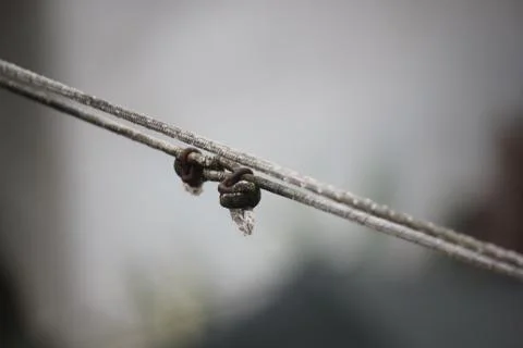 Close up of a rusty clothesline Stock Photos