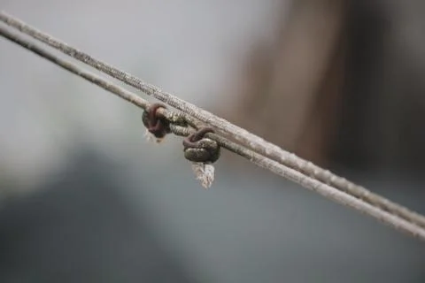 Close up of a rusty clothesline Stock Photos
