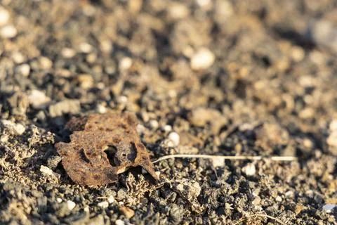 Close-up of rusty door lock on stony surface under bright light, Canary Islands, Stock Photos