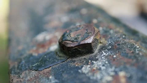 Close-up of a rusty iron bolt screwed into metal 库存影片 328187082