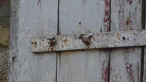 Close-up of rusty metal door Stock Footage 75264278