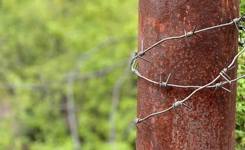 Close-up of a rusty metal pole with barbed wire wrapped around it Stock Photos