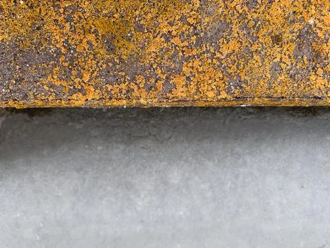 Close Up of Rusty Metal Surface with Yellow Lichen Stock Photos