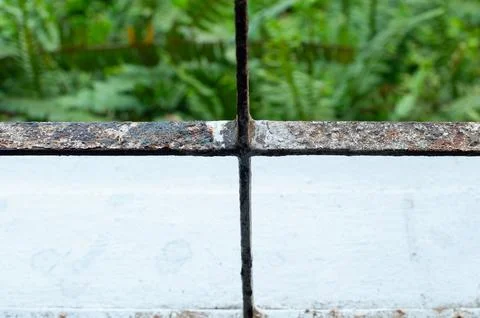 Close Up of Rusty Metal Window Grille with Green Nature Background Stock Photos