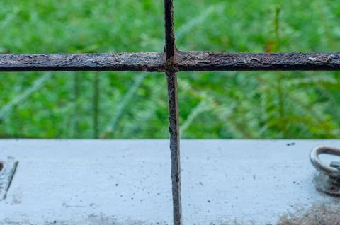 Close Up of Rusty Metal Window Grille with Green Nature Background Stock Photos