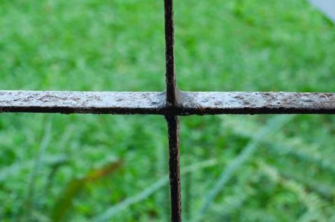 Close Up of Rusty Metal Window Grille with Green Nature Background Stock Photos