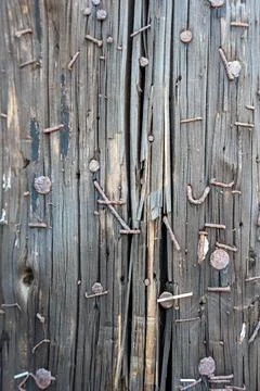 Close up of rusty nails and staples on a wooden utility pole. Stock Photos