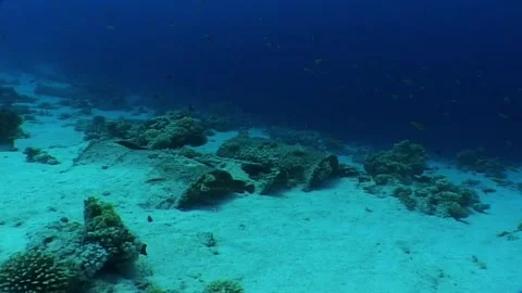 Close-Up of Rusty Oil Barrels on Barrier Reef Stock Footage 300078112