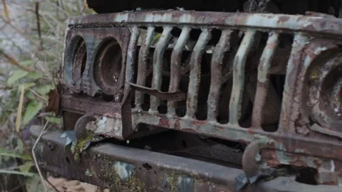 Close-up of Rusty Old Car Grille Overgrown with Vegetation Stock-Footage 335462145
