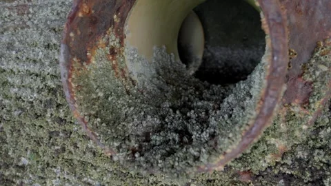 Close up Rusty pipe covered in barnacles and corrosion details Stock Footage 314030628