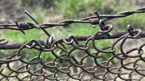 Close-up of rusty wire mesh with barbed wire outdoors, weathered fence detail 스톡 사진