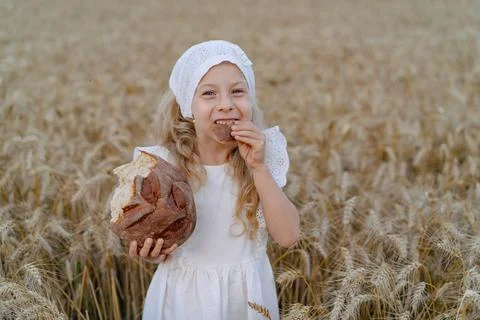 Close-up of rye bread in the hands of a blonde girl in a field of rye Stock Photos
