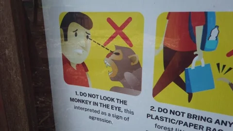 Close Up Safety Guidelines Sign and Rules at Sacred Monkey Forest Ubud Bali Stock Footage 339751487