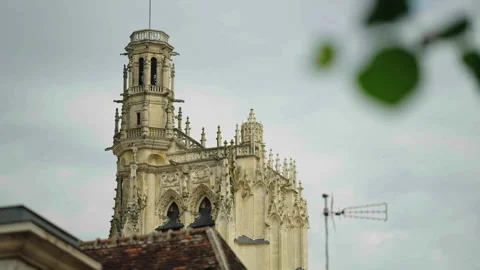 Close-up of Saint-Étienne Cathedral with leaf foreground, Sens, France Stock Footage 339201407