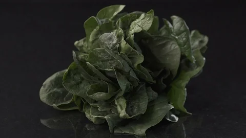 Close Up on a Salad Stock Footage 85884667