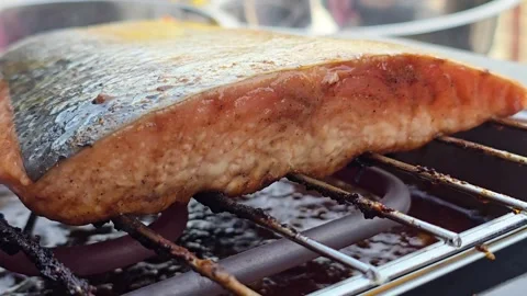 Close Up of Salmon Fish Fillet Grilling on Electric BBQ Grill Stock-Footage 344703872