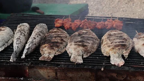 Close Up of Salt Crusted Fish and Meat Skewers Grilling on Charcoal Stock-Footage 331899010