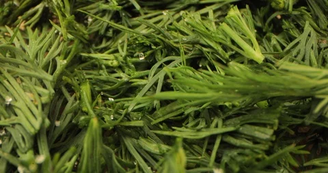 Close-up salt crystal miles fall on freshly ground dill Stock Footage 126151948