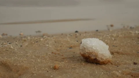 Close up of salt deposit on the sandy beach of the Dead Sea in Israel. Water 스톡 동영상 71440977