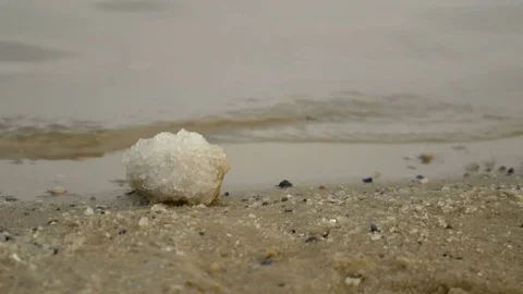 Close up of salt deposit on the sandy beach of the Dead Sea in Israel. Water 스톡 동영상 71468977