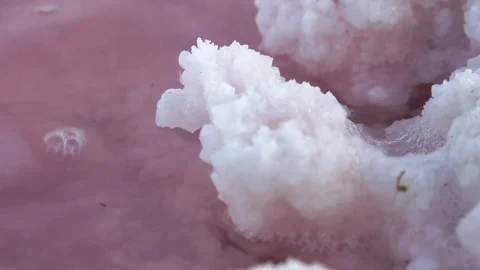Close-up of salt on the lake shore. Video stock 79604620