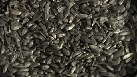 Close up of salted sunflower seeds in their shells. Stock Footage 8961812