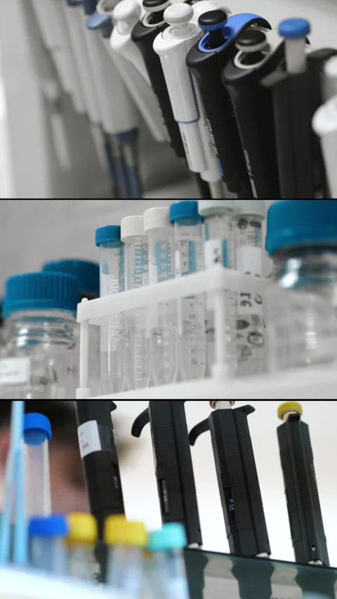 Close-up of sample tubes on a rack. Medical test tubes. Stock Footage 314339450