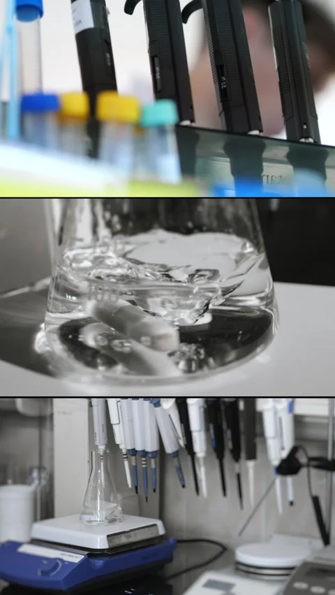 Close-up of sample tubes on a rack. Medical test tubes. Stock Footage 314339488