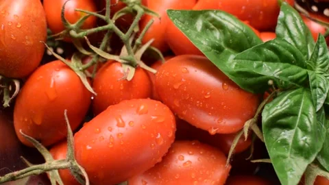 Close up on San Marzano tomatoes with basil Stock Footage 137614219