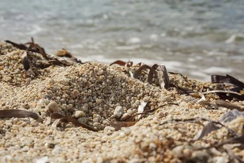 Close up of sand and pebbles on beach shore with ocean waves Stock Photos