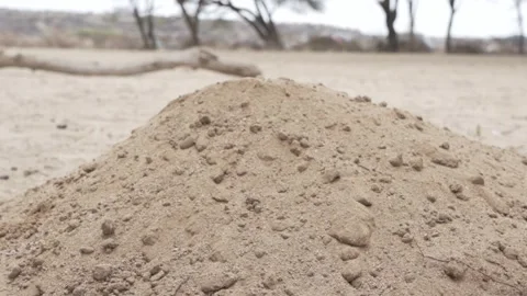 Close up of sand being poured. Stock Footage 319298555
