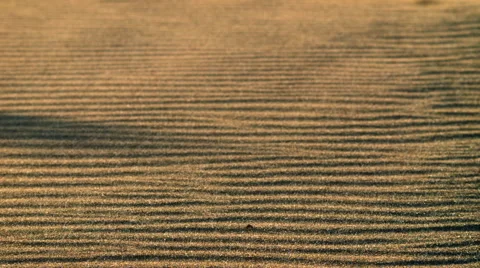 Close up of sand blowing on beach Stock Footage 55057478