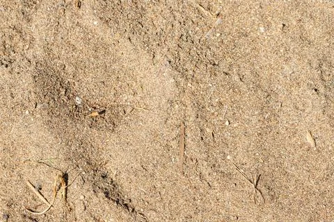 Close-up of Sand with Debris Stock Photos