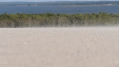 Close up of sand drift a baltic sea dune, Poland Stock-Footage 170946845