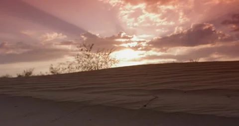Close-up of a sand dune with grass against a cloudy sky at sunset Stock Footage 249311498
